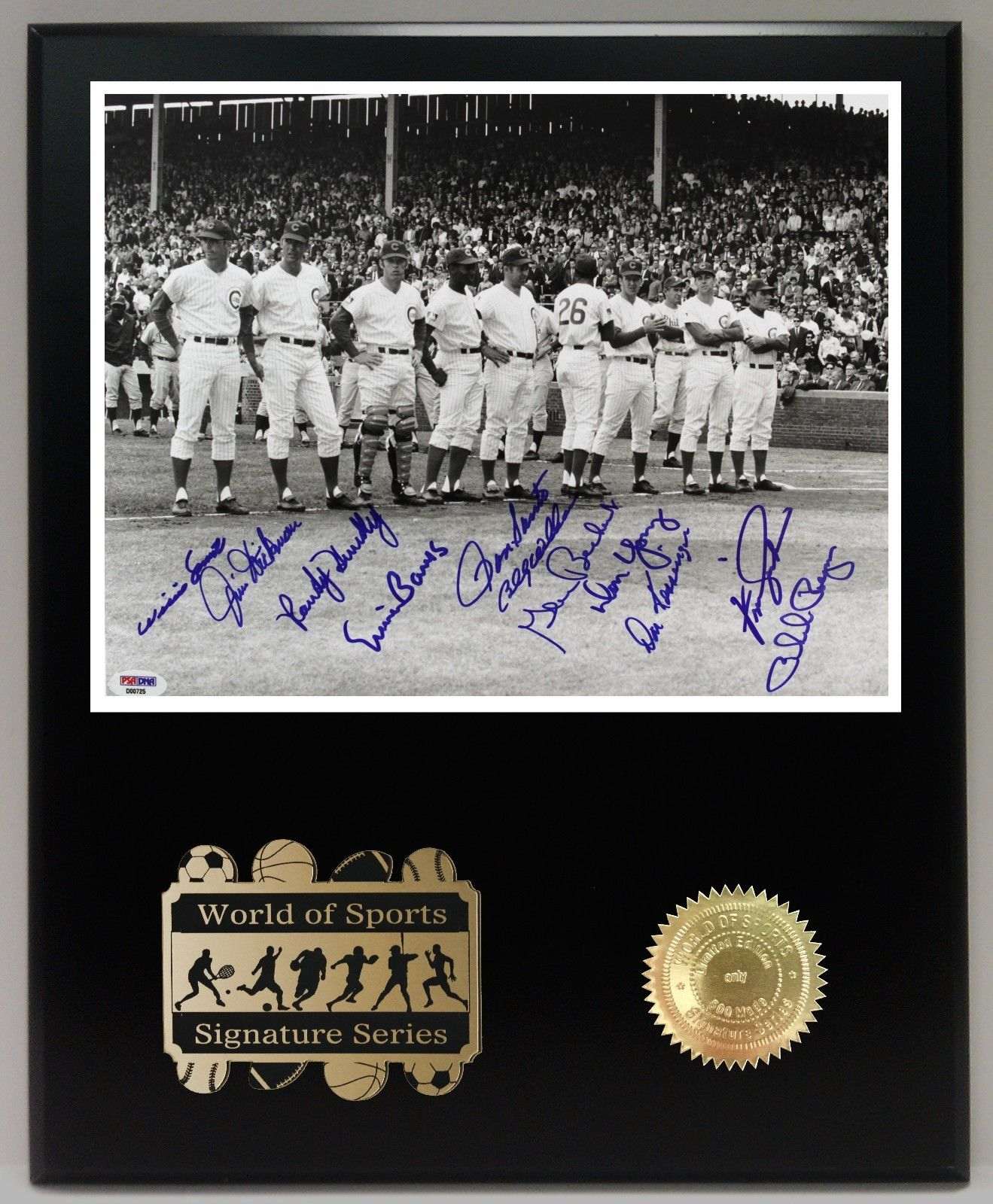 1969 Chicago Cubs Starting Lineup Ltd Edition Reproduction Signature  Display - Gold Record Outlet Album and Disc Collectible Memorabilia