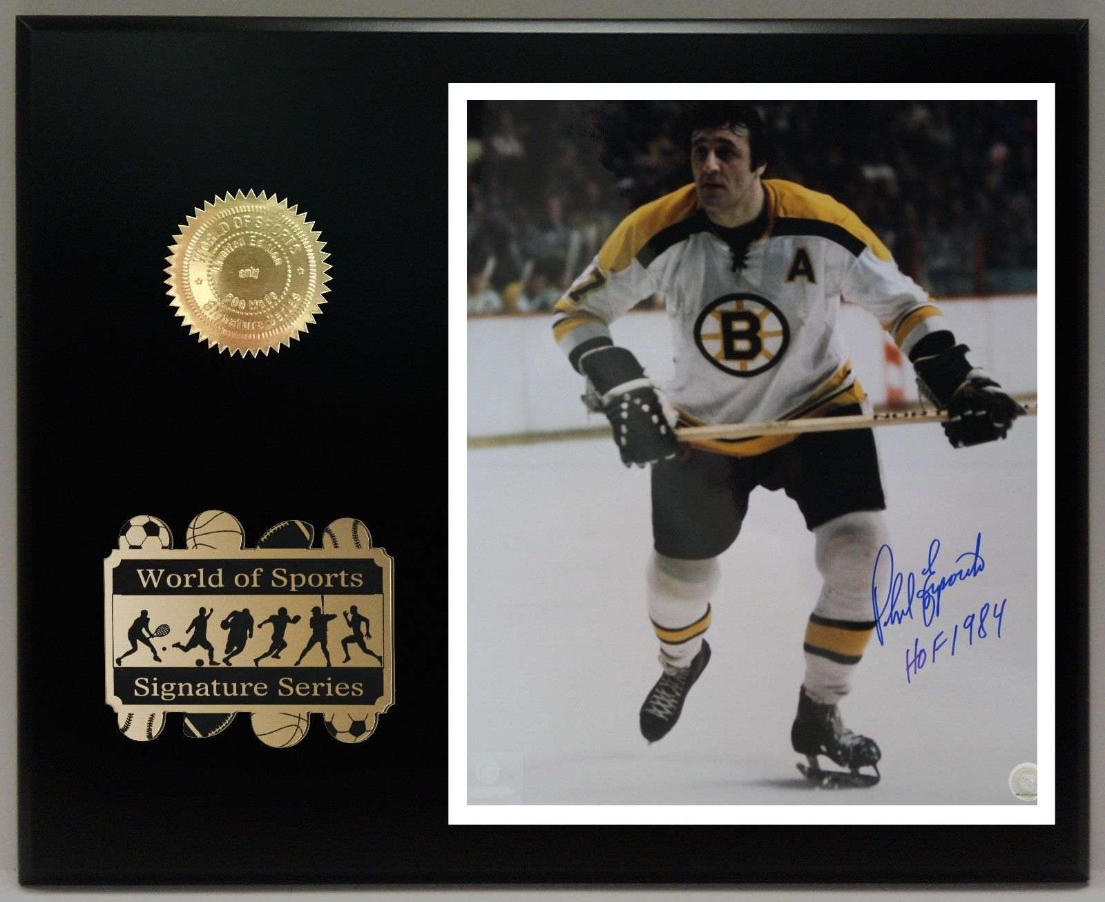 Phil Esposito Boston Bruins 8'' x 10'' Plaque