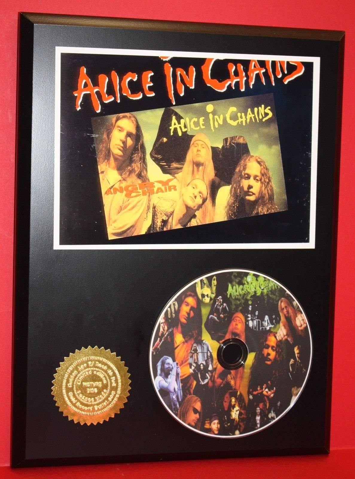 Alice In Chains Limited Edition Picture CD Disc Collectible Rare Wall Art -  Gold Record Outlet Album and Disc Collectible Memorabilia