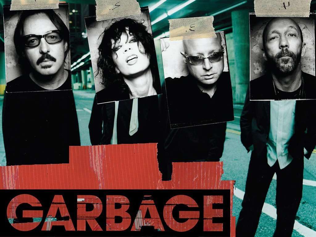 Garbage Limited Edition Picture Disc CD Collectible Music Display ...