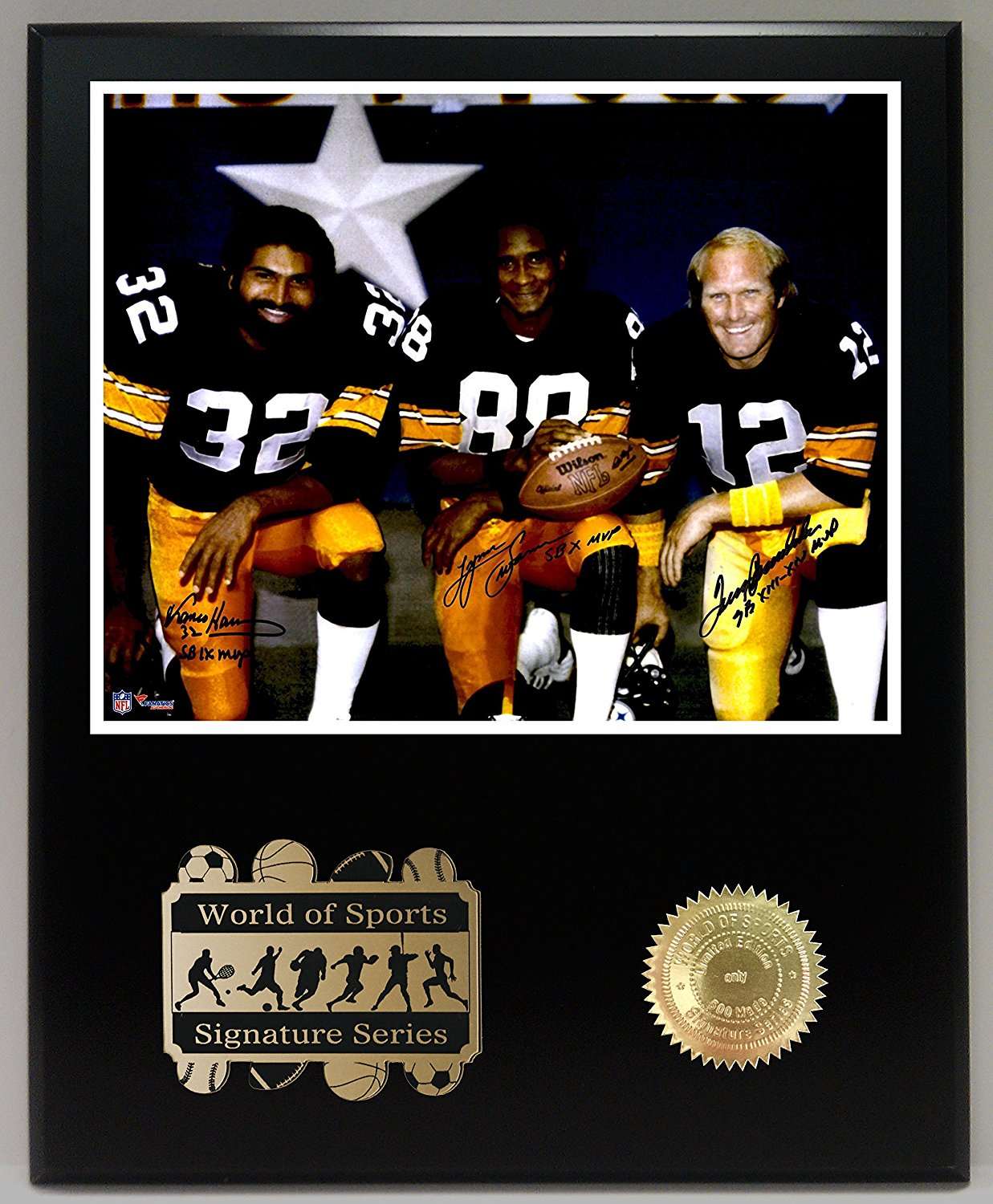 Western Pa. Sports Museum adds Franco Harris' rings to exhibit